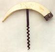 Corscrew animal tooth